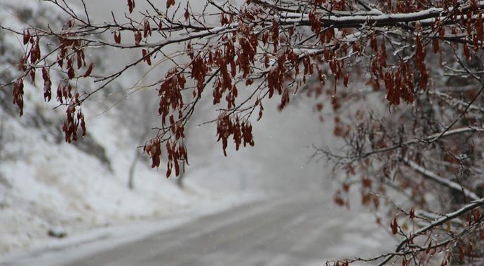 Kırkağaç'ta kar yağışı