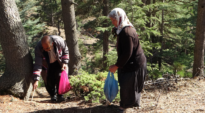 Her yerde onu arıyorlar: Kilosu 100 TL