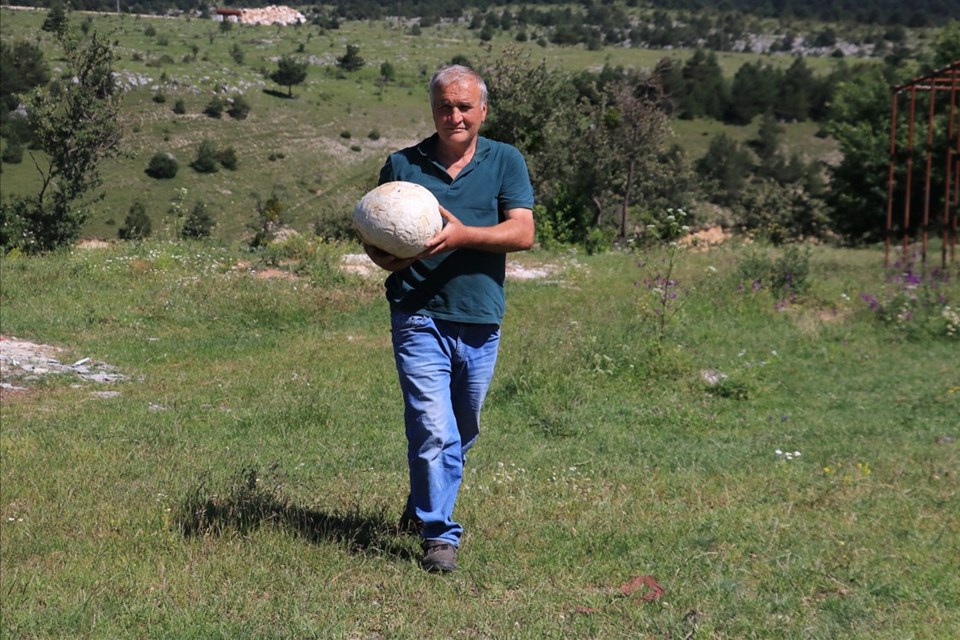 Futbol topu sandı, 5 kilogram ağırlığında mantar çıktı