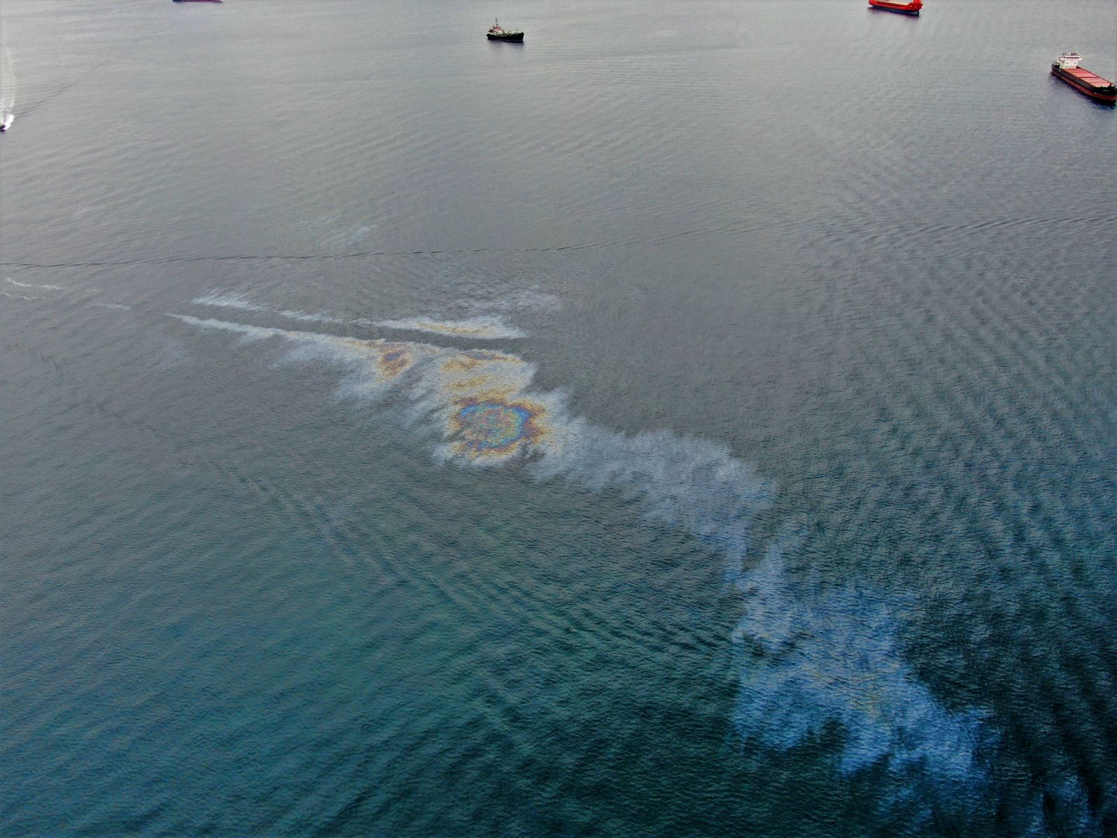 Marmara Denizinde çevre kirliliği! Sızan mazot ve yağın oluşturduğu tahribat gözler önüne serildi