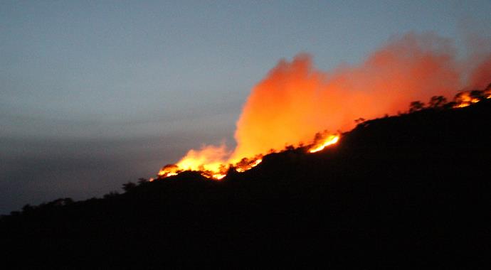Marmaris'te orman yangını! Giderek büyüyor Marmaris'te orman yangını! Giderek büyüyor