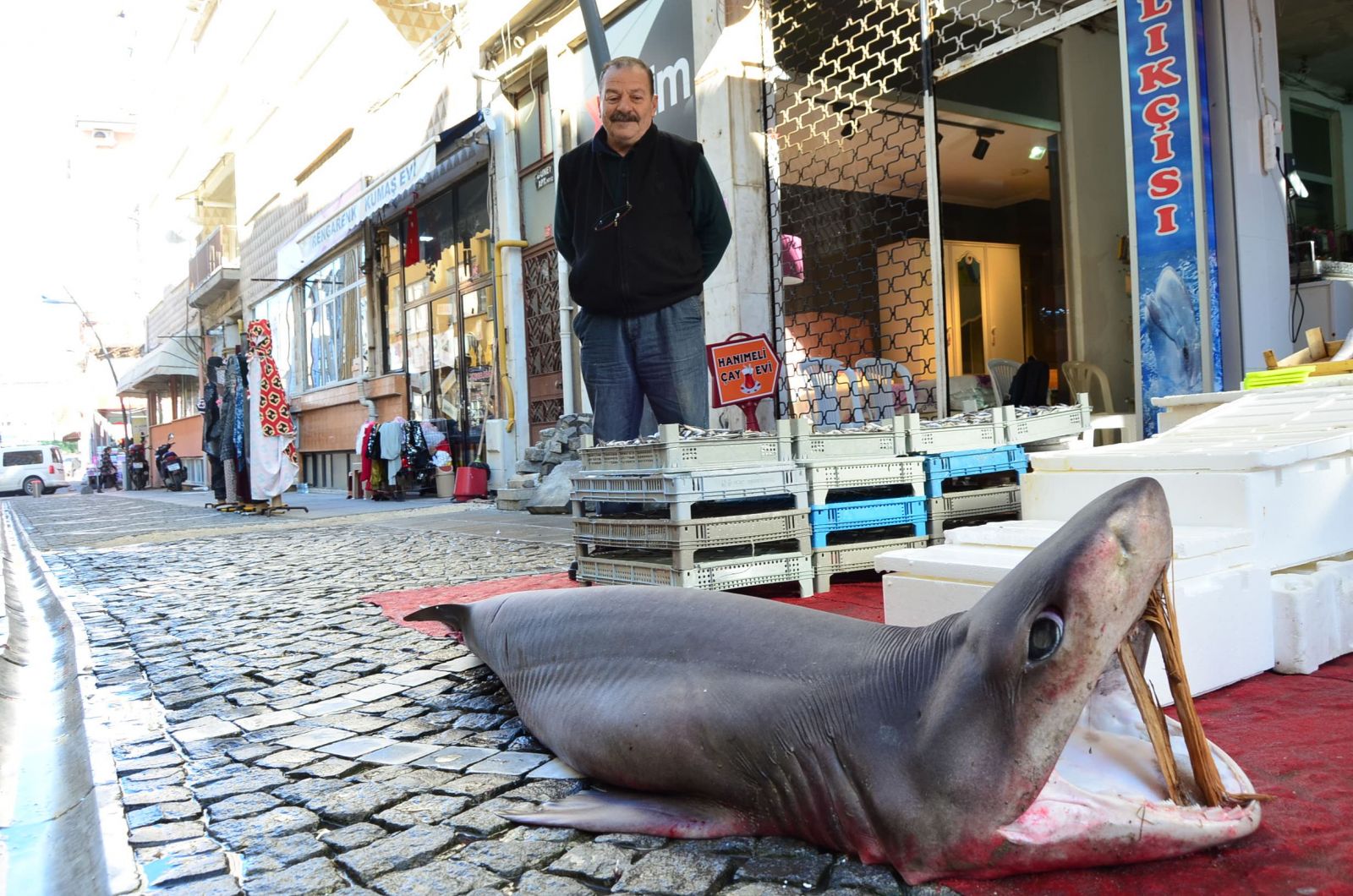 Marmara’da yakalandı: 3 metrelik dev