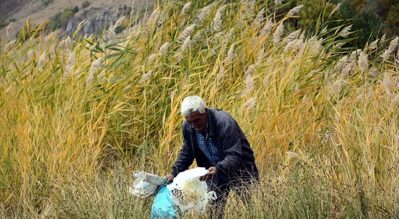 Nemrut'a 48 yıldır gönüllü bekçilik yapıyor
