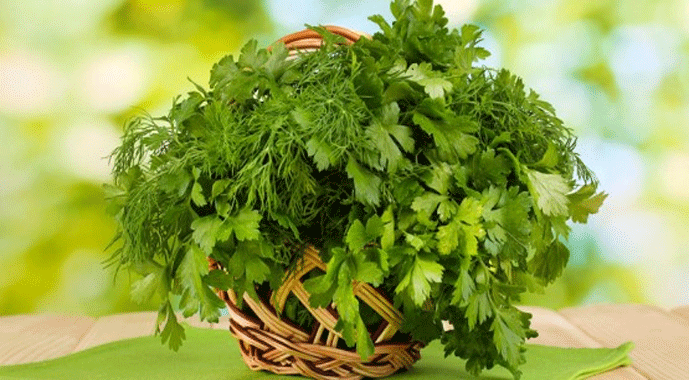 Maydanoz kelliği önlüyor mu?