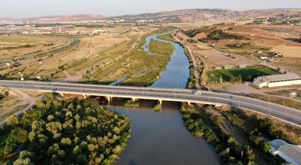 Kızılırmak'ta tedirgin eden görüntü: Yüzlerce ölü balık kıyıya vurdu
