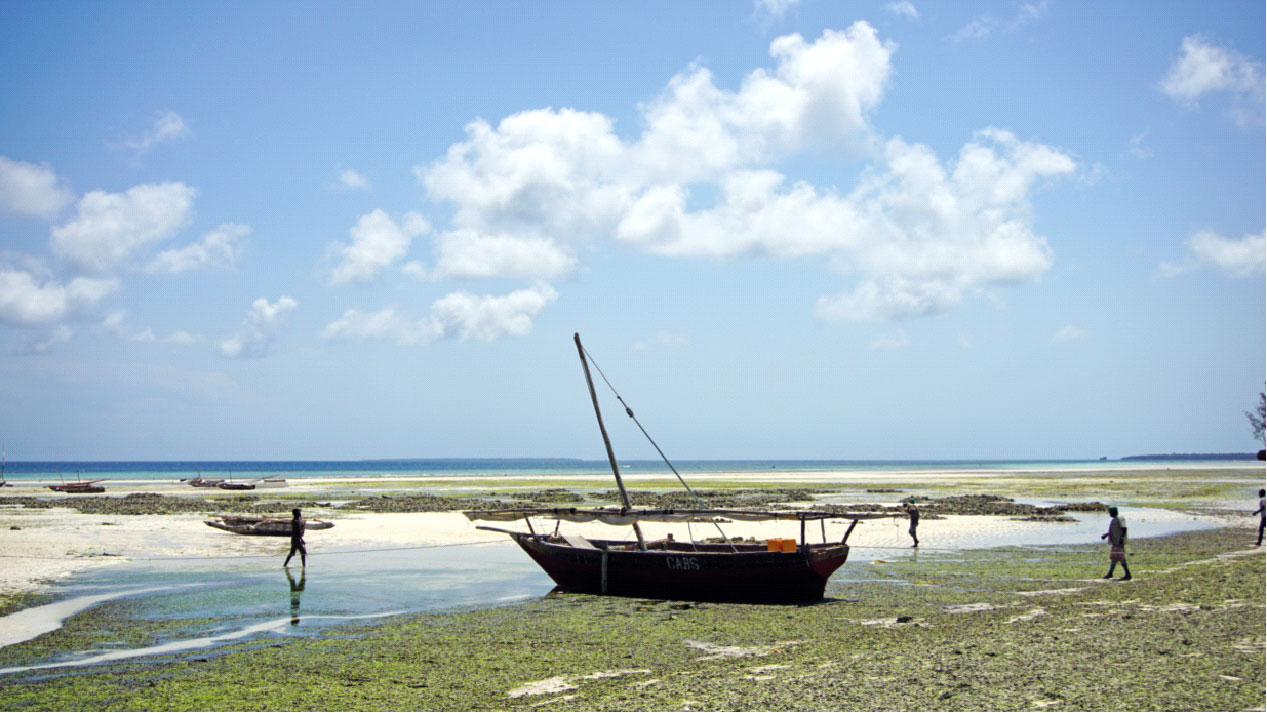 Afrika’da bir inci Zanzibar Adası