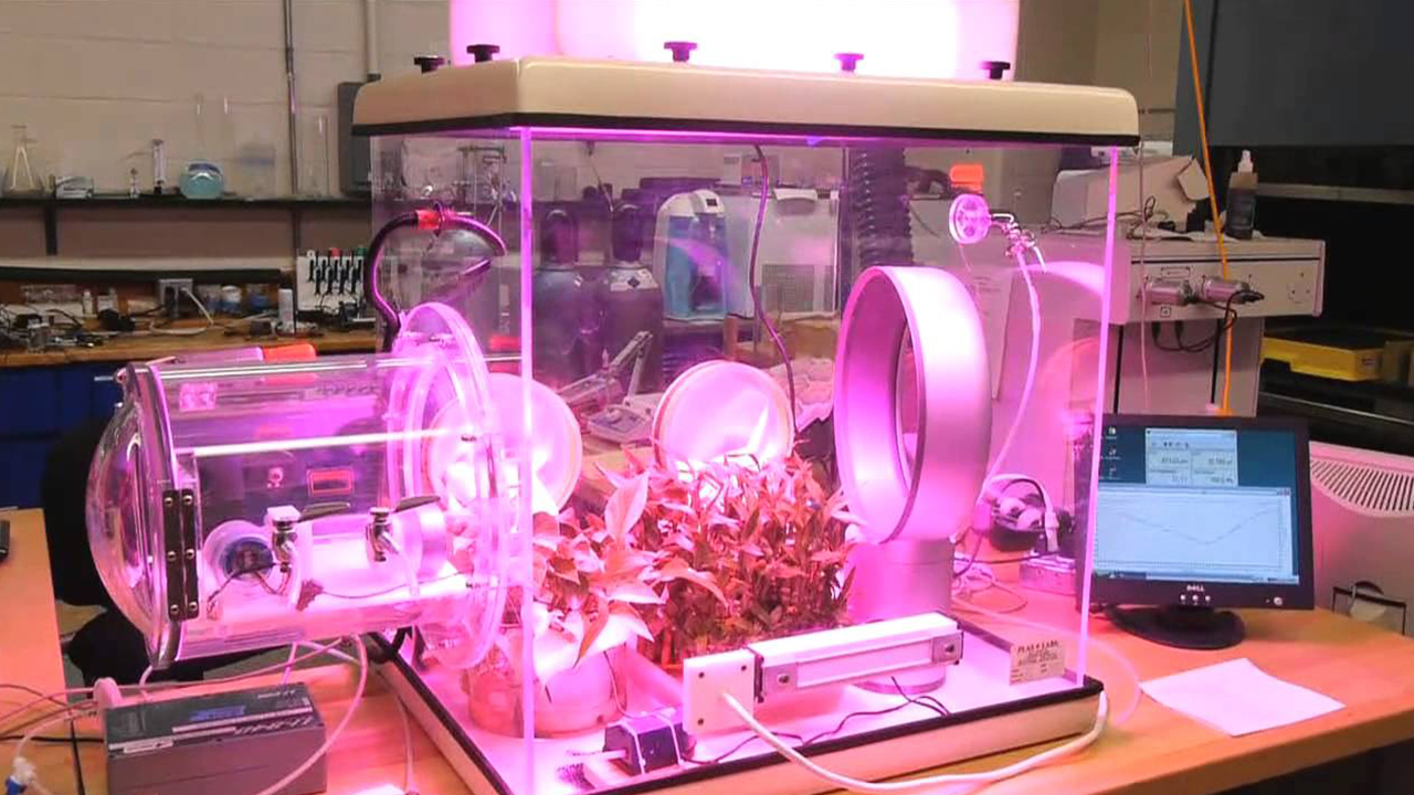 Karbonu yakalayan 'mekanik ağaç' üretildi