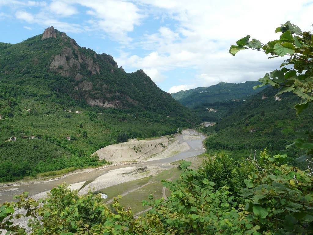 Melet Irmağı'ndaki büyük sır! 3 farklı bitki coğrafyasını birbirinden ayırdığı ortaya çıktı Melet Irmağı'ndaki büyük sır! 3 farklı bitki coğrafyasını birbirinden ayırdığı ortaya çıktı