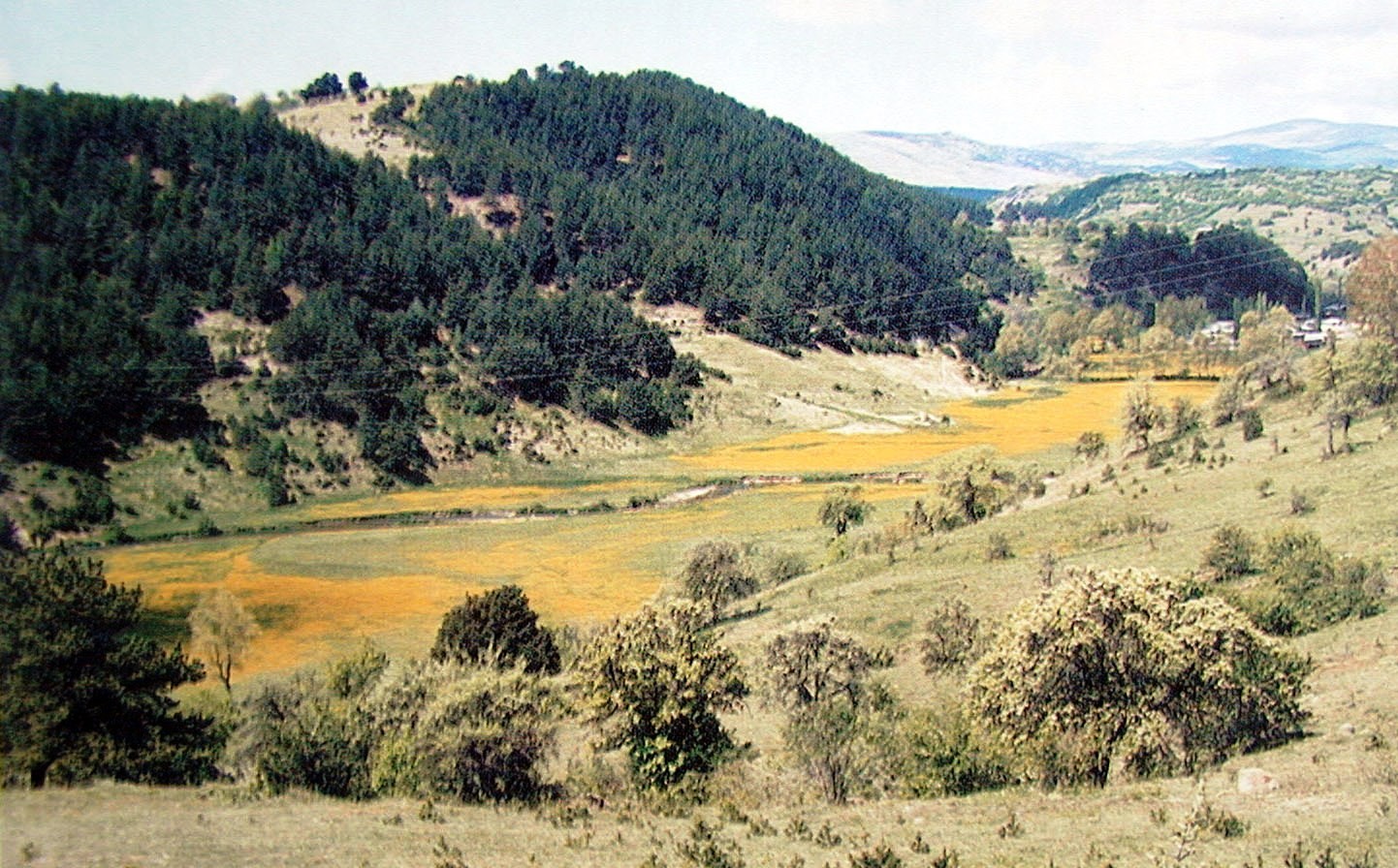 Melet Irmağı'ndaki büyük sır! 3 farklı bitki coğrafyasını birbirinden ayırdığı ortaya çıktı Melet Irmağı'ndaki büyük sır! 3 farklı bitki coğrafyasını birbirinden ayırdığı ortaya çıktı