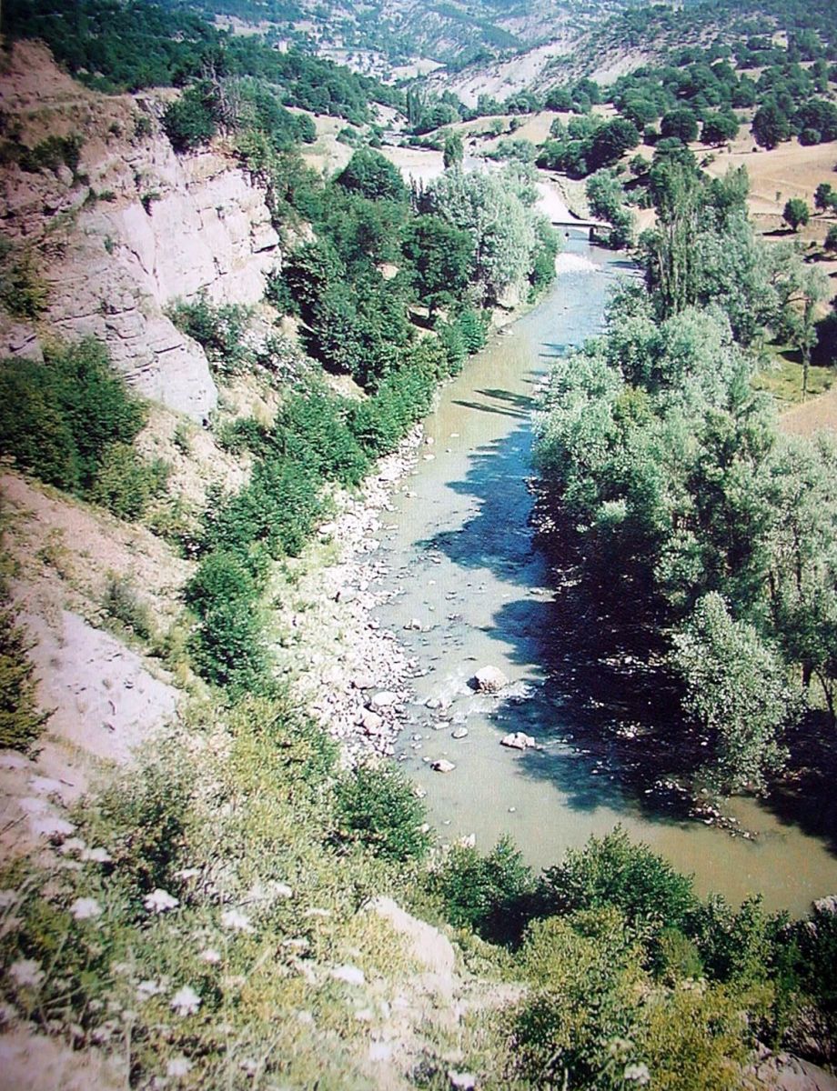 Melet Irmağı'ndaki büyük sır! 3 farklı bitki coğrafyasını birbirinden ayırdığı ortaya çıktı Melet Irmağı'ndaki büyük sır! 3 farklı bitki coğrafyasını birbirinden ayırdığı ortaya çıktı