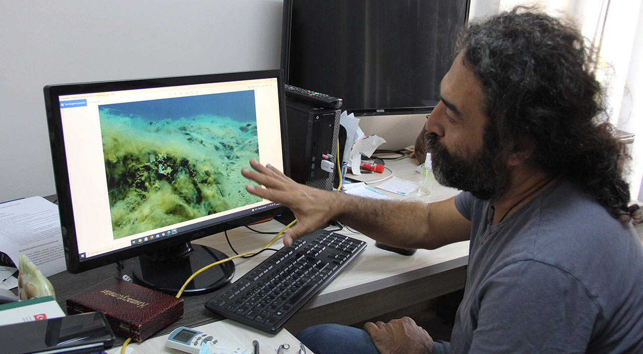 Sahil kentlerinde müsilaj tehlikesi! Uzman isimden kritik uyarı