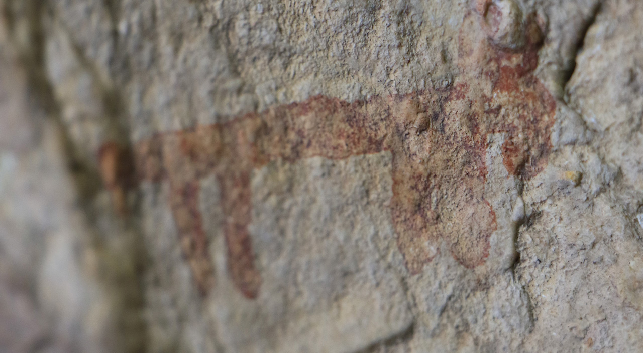 Duyan bölgeye koştu! Keçi arıyordu, insanlık tarihinin en eski yazılı belgelerini buldu