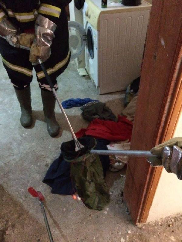 Mersin'de çamaşır sepetinden yılan çıktı