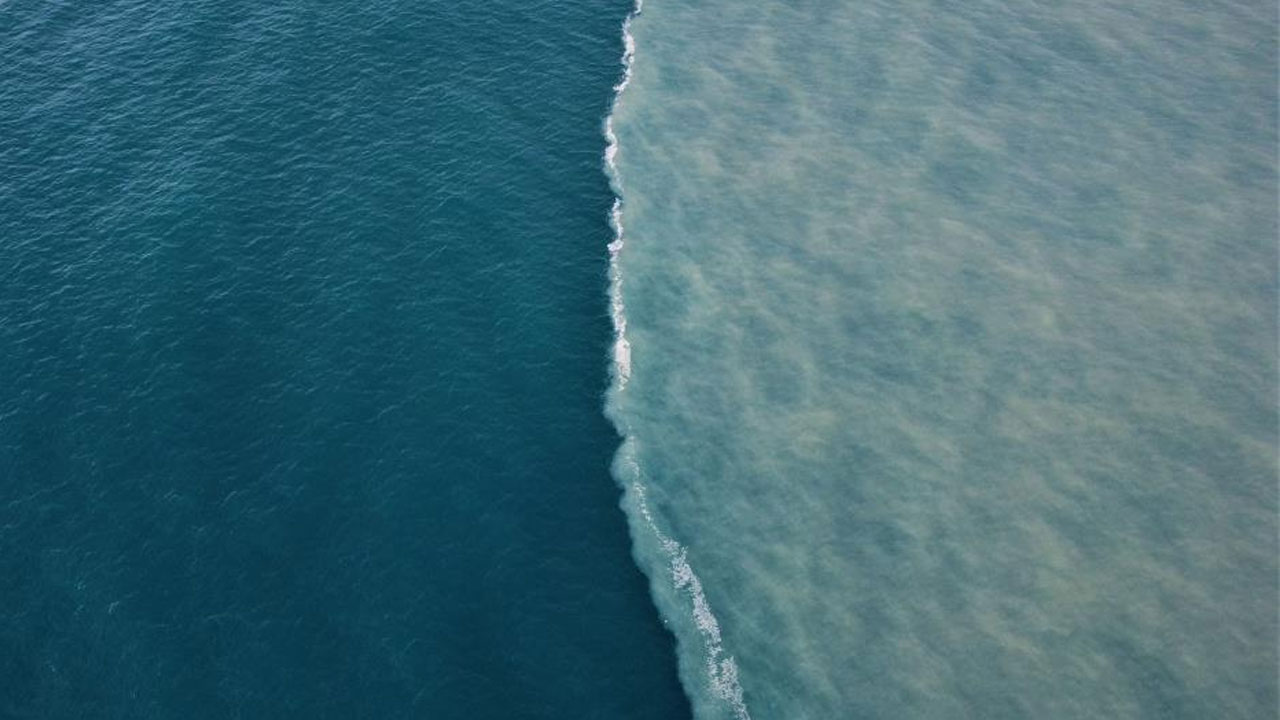 Mersin'de denizin rengi kahverengi oldu