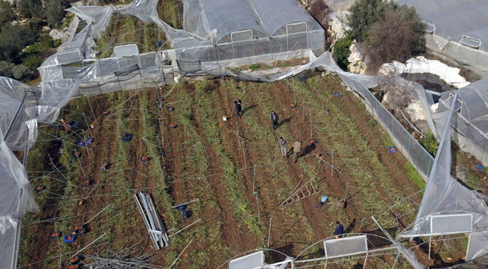 Mersinli çiftçiler hortum afetini sosyal medyadan paylaştı