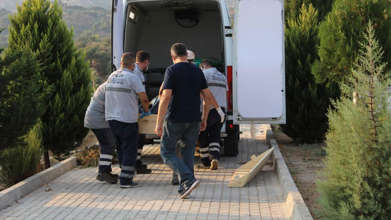 Mezarlığın başında hareketsiz buldular: Yaklaşınca korkunç gerçek ortaya çıktı