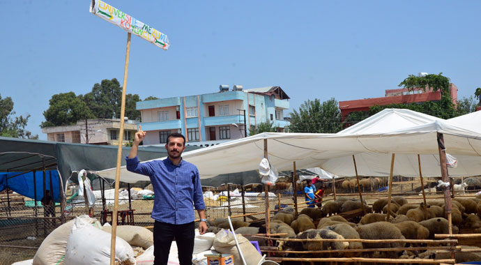 'Üniversite mezunu koyuncu'