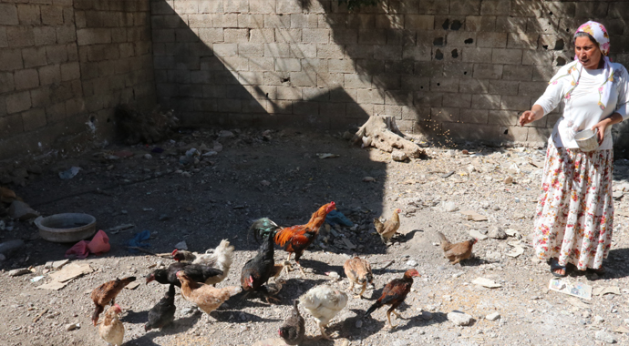 Mikro kredi ile evinde üretici oldu