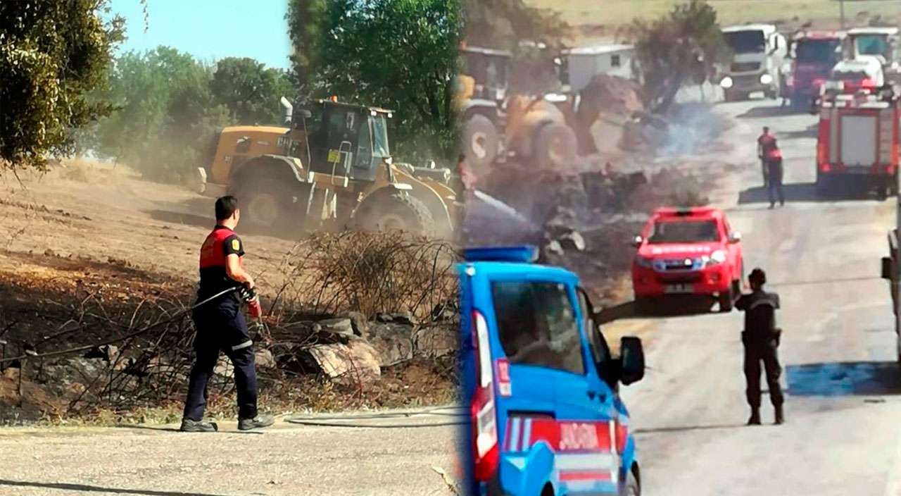 Milas'ta orman yangını: 2 saat sonra kontrol altına alındı