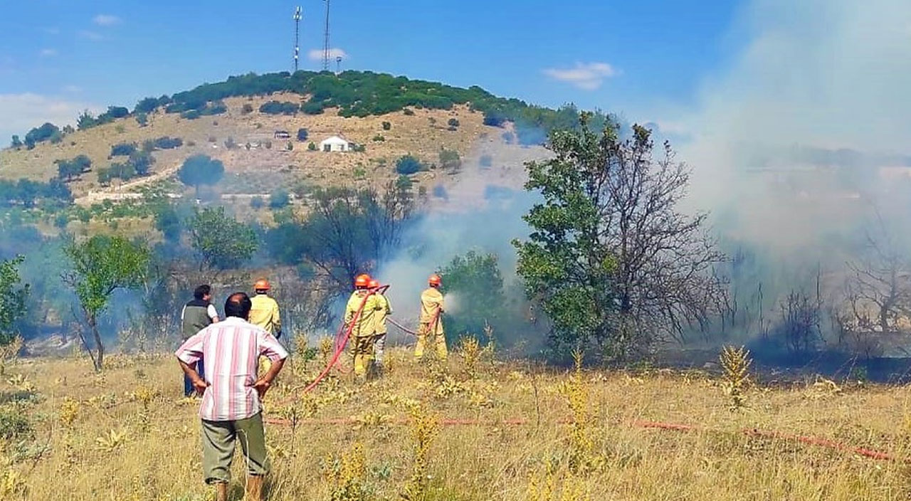 Denizli’de orman yangını: 15 dekarlık alan küle döndü Denizli’de orman yangını: 15 dekarlık alan küle döndü