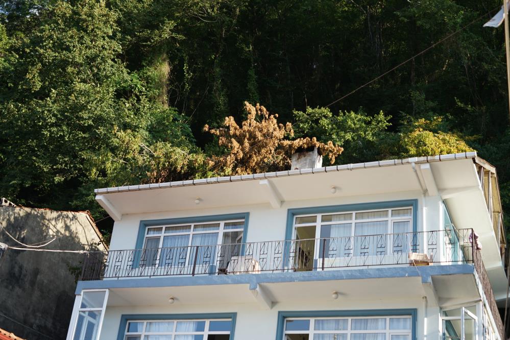 Sel bölgesinde yağış sonrası oluşan heyelan korkuttu