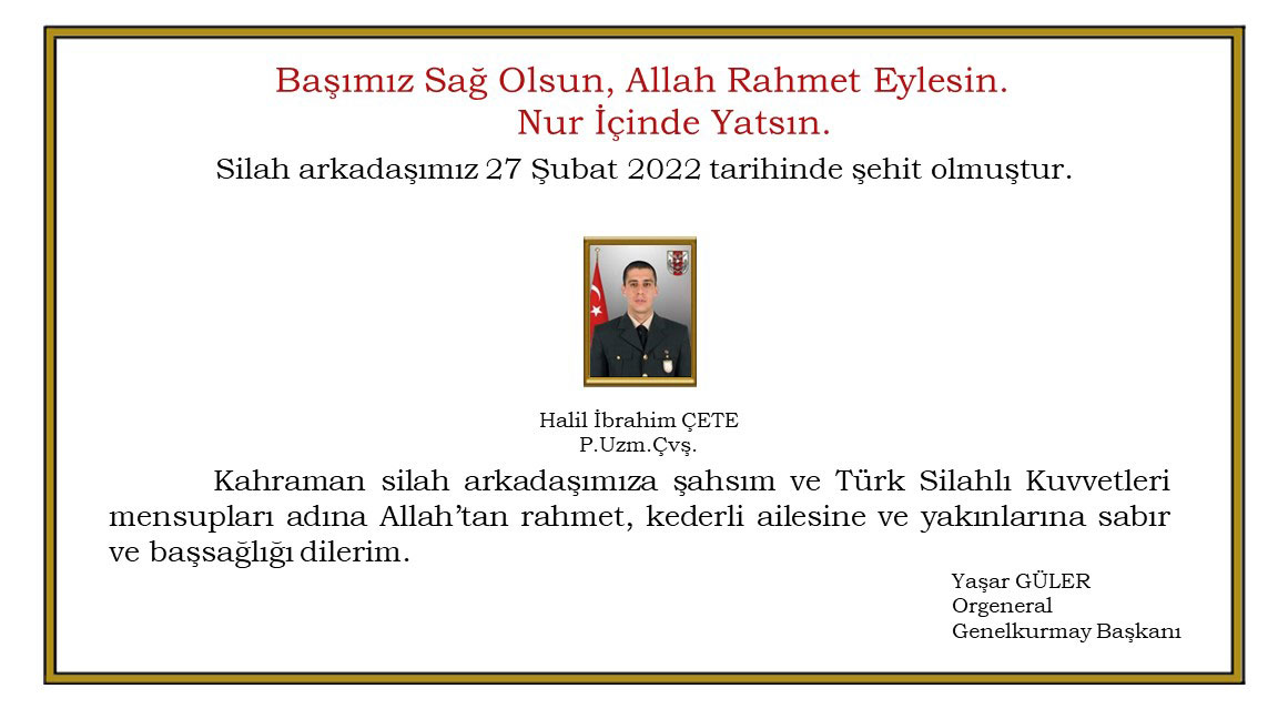 MSB duyurdu: Silah kazası sonucu bir askerimiz şehit oldu