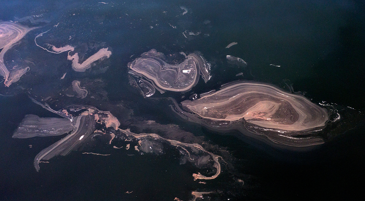 İstanbul'da müsilaj kabusu yeniden baş gösterdi!