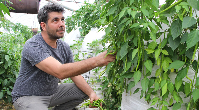 Elektrik mühendisi, serasında ’Çuval’la para kazanıyor