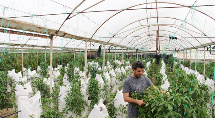 Elektrik mühendisi, serasında ’Çuval’la para kazanıyor