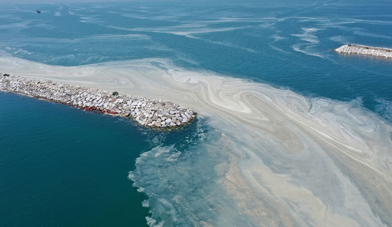 2021 felaketler yılı: Pandemi altında geçen koca bir sene