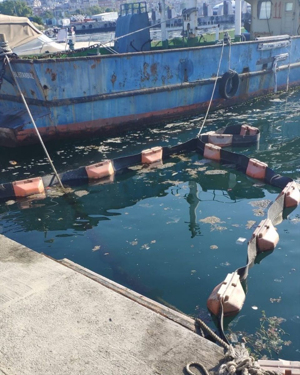 İstanbul Üniversitesi, müsilajı deniz bakterisiyle temizlemeyi başardı