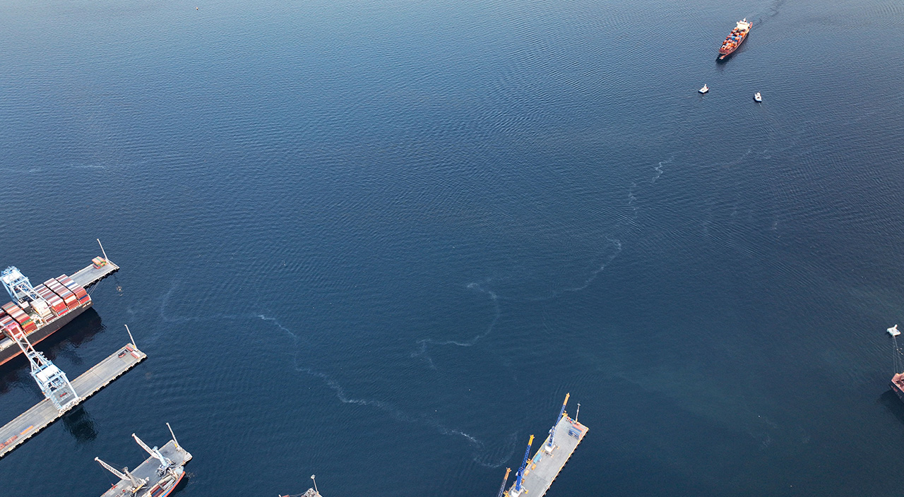 Yeni sorumluluklar geliyor: Belediyelere 'müsilaj' markajı