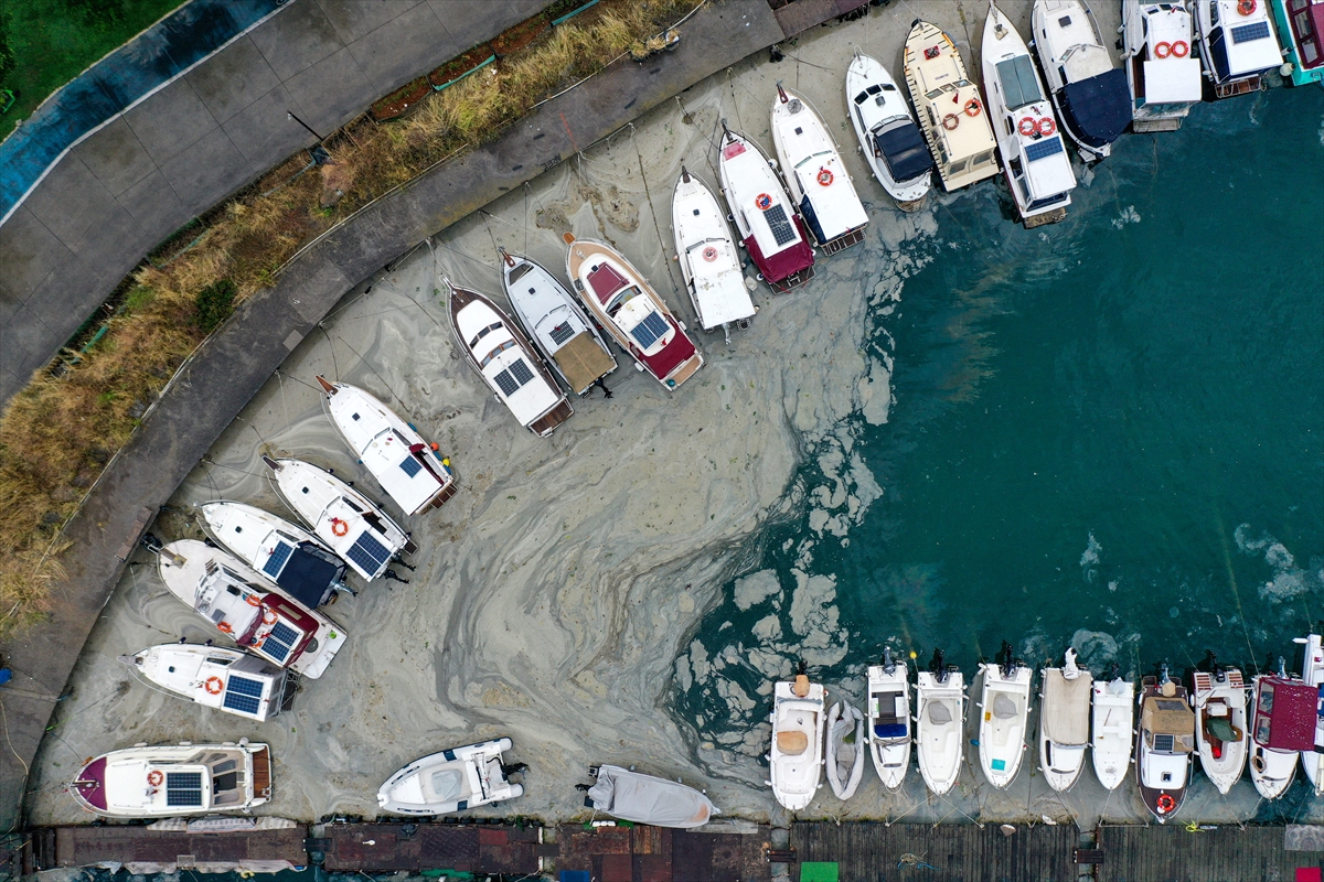 Deniz salyası kabusu sürüyor