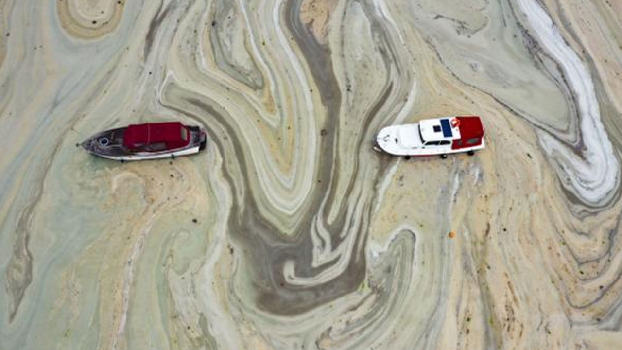 Uzmanlardan müsilaj uyarısı: İlkbaharda yine gelecek