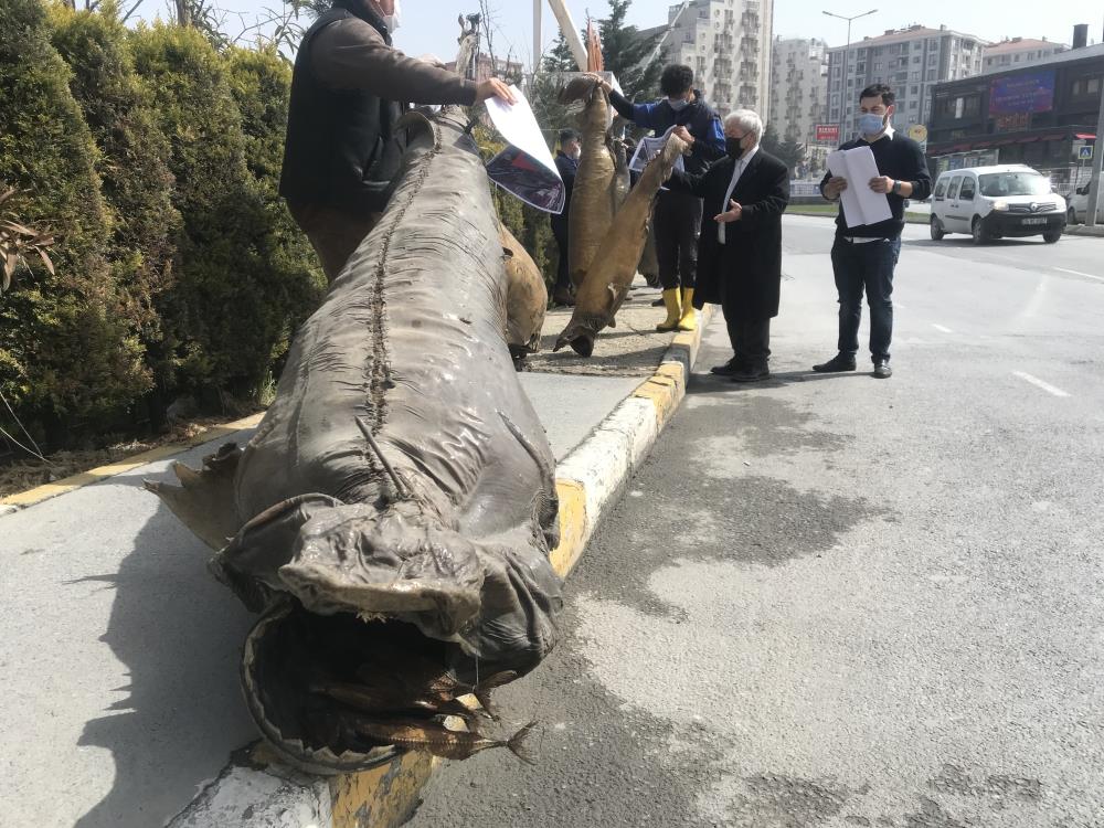 Beylikdüzü Belediyesi’nden ücretsiz müzeye yıkım skandalı