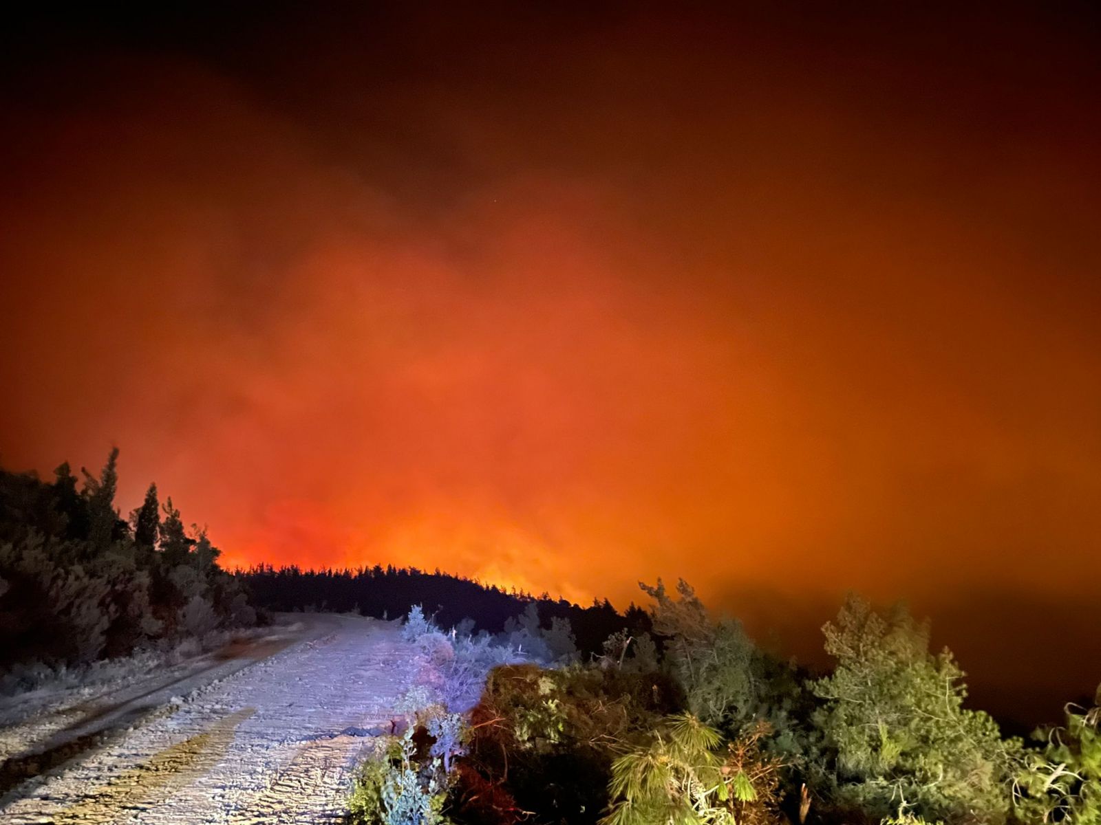 Marmaris'teki yangında 3. gün! Yangın büyük oranda kontrol altına alındı