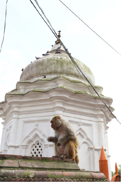 Dünyanın çatısında bayram