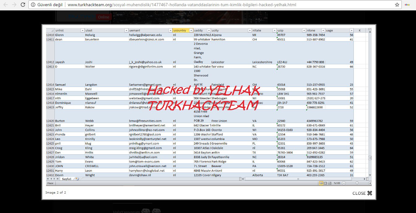 Hollanda devlet sitelerinde 'Ölürüm Türkiyem' şarkısı