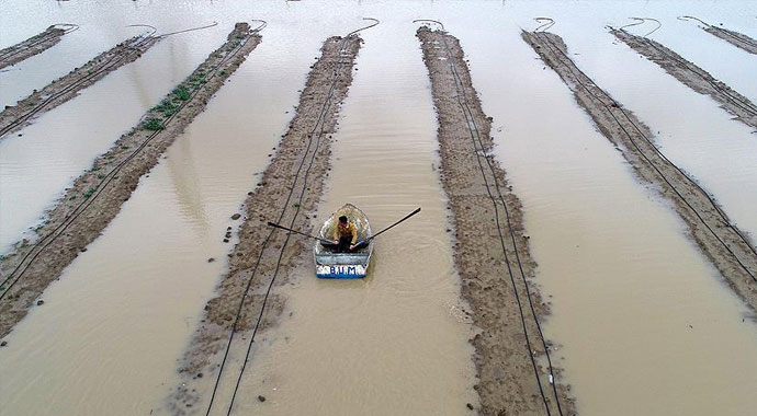 Ceyhan Nehri taştı ev ve tarlalar su altında kaldı