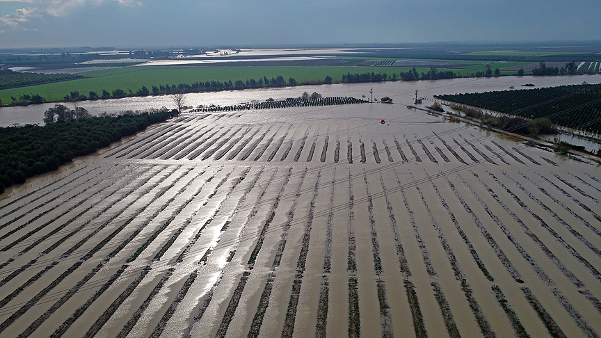 Ceyhan Nehri taştı ev ve tarlalar su altında kaldı