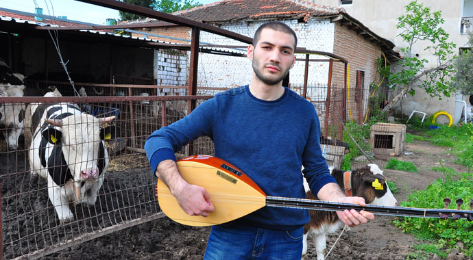 İneklere özel konser