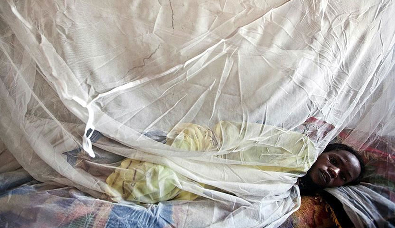 Nijerya'da salgın: Lassa ateşi yeniden ortaya çıktı