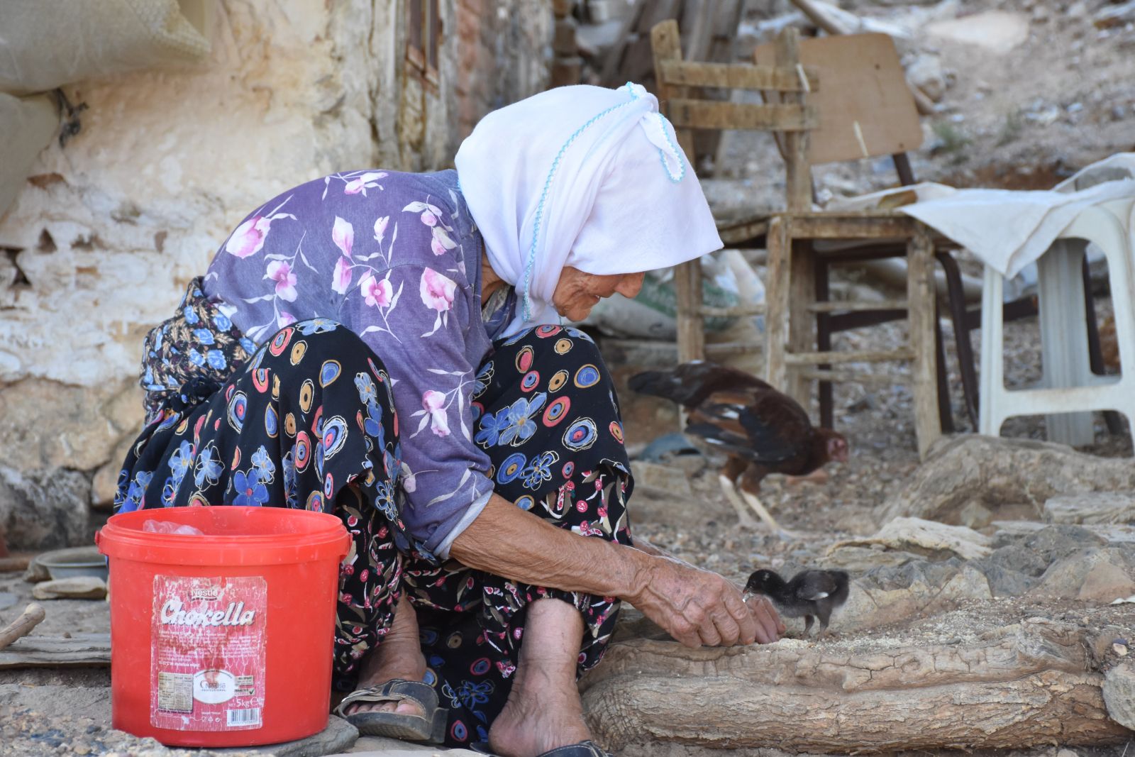 Depremde yıkılan evine değil ölen civcivlerine ağladı