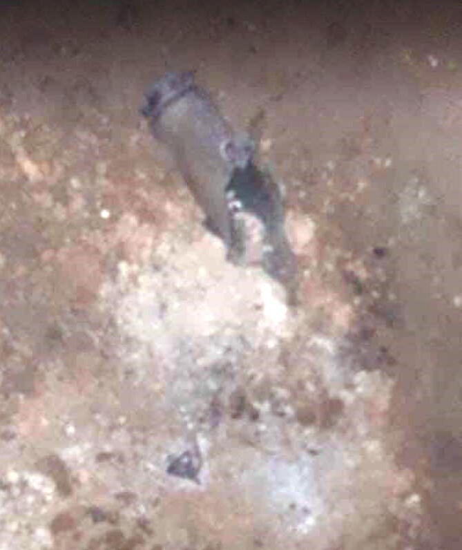 Gaziantep'e roket mermisi atıldı