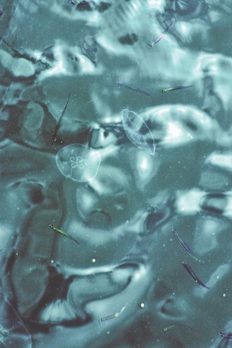 'Tanımadan geldim görüp büyülendim'