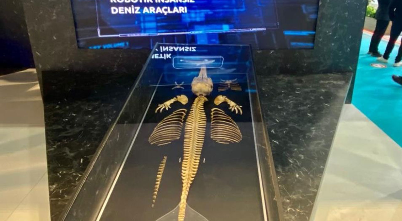 Robot yunus balığı deniz altına gireceği günü bekliyor Robot yunus balığı deniz altına gireceği günü bekliyor