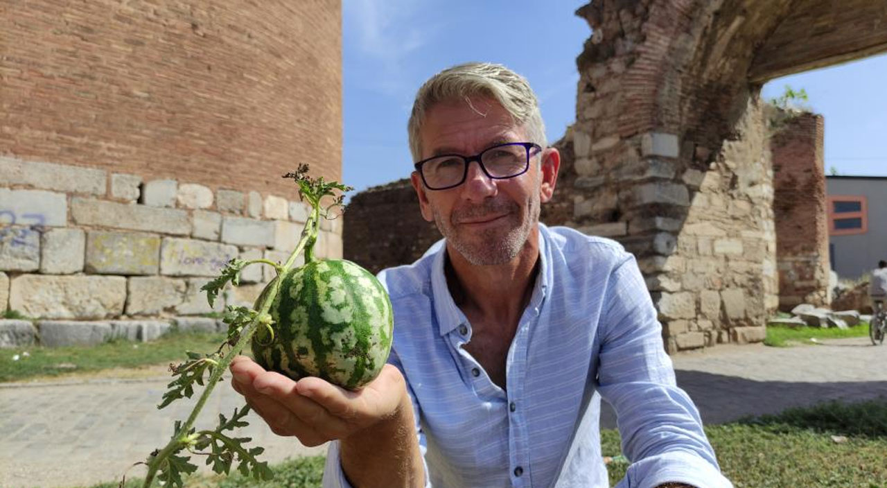 Tarihi surların içerisinde kendiliğinden yetişti: Koparmaya kıyamadılar