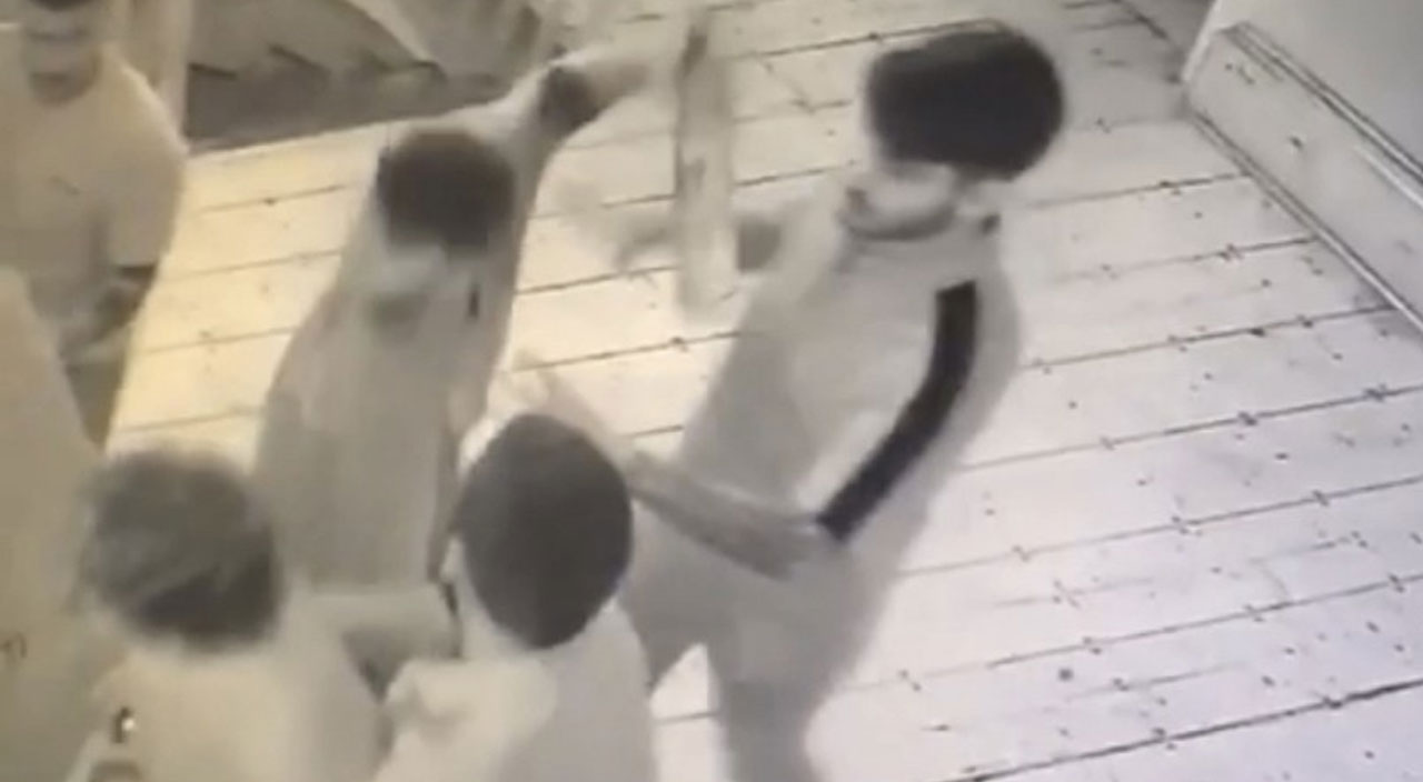 Ünlü restoranda olaylı gece! ‘Fasıl neden bitti’ kavgasında silahlar patladı, tribün liderinin başında şişe kırdılar