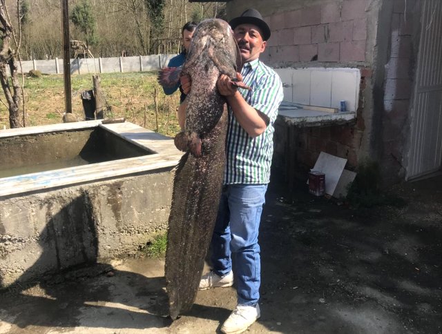 35 yıllık balıkçı oltaya takılanı görünce gözlerine inanamadı!