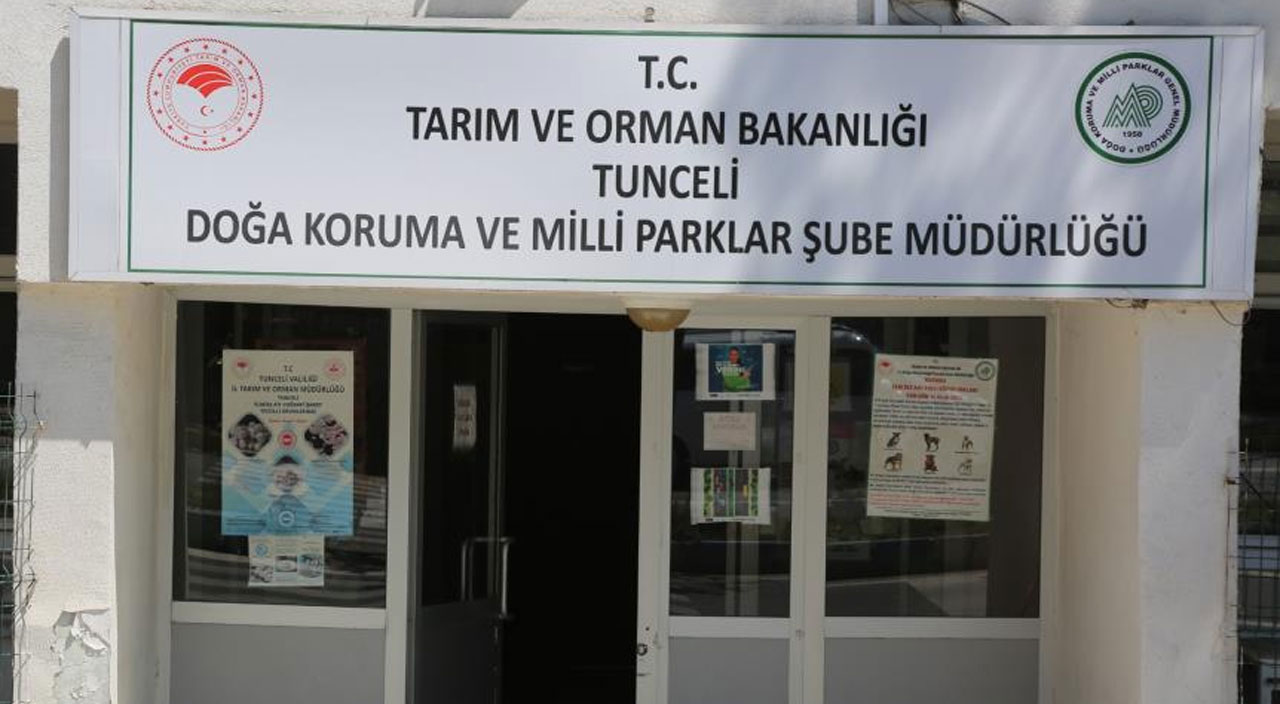 Yavru sincaplara anne şefkati